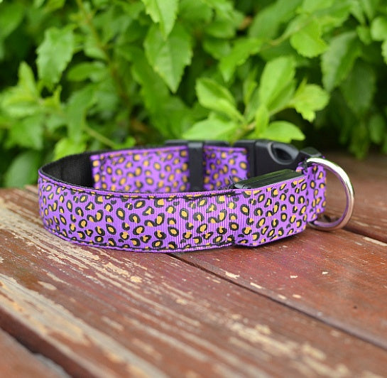Make your dog visible, safe, and stylish!