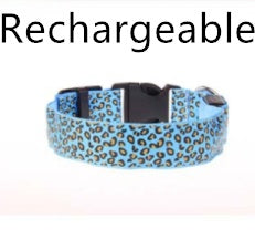 Make your dog visible, safe, and stylish!