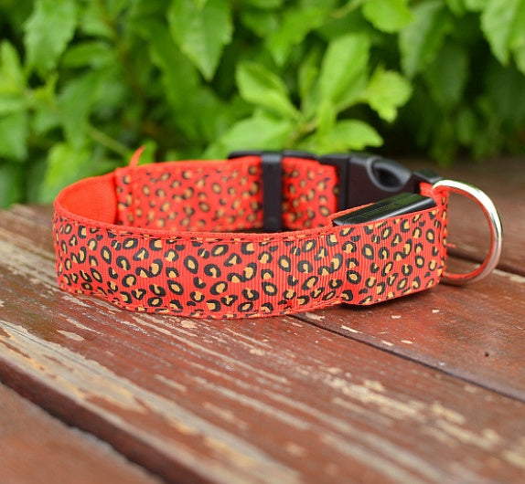 Make your dog visible, safe, and stylish!