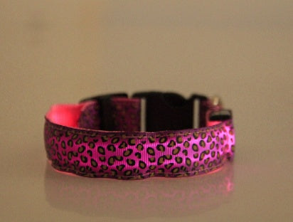 Make your dog visible, safe, and stylish!
