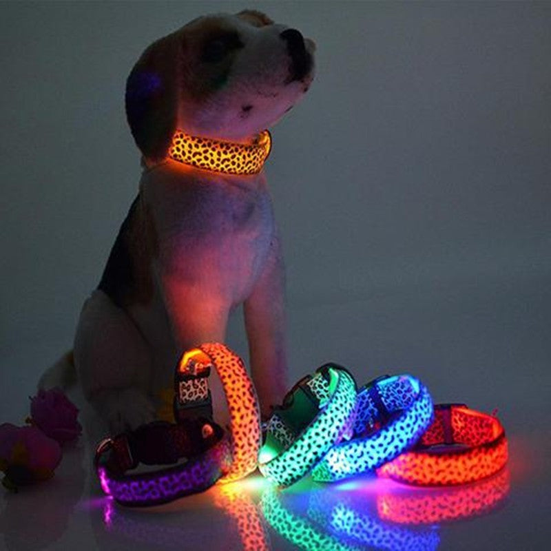 Make your dog visible, safe, and stylish!