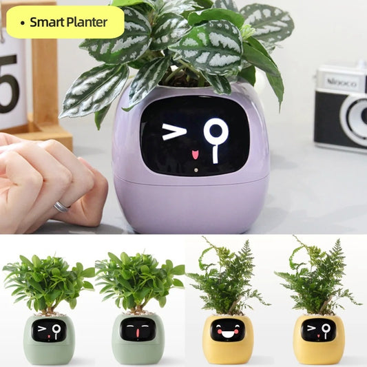 AI-Powered Planter – Grow Plants Effortlessly, Enjoy Endless Fun!