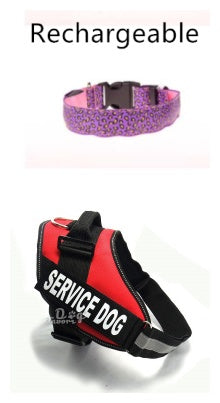 Make your dog visible, safe, and stylish!