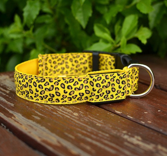 Make your dog visible, safe, and stylish!