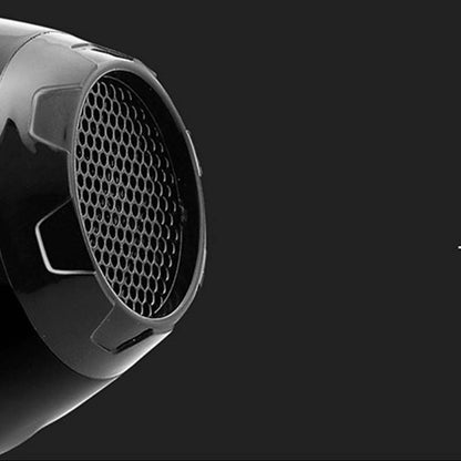 Home Hair Dryer – Powerful, Blue Light, Hair Protection