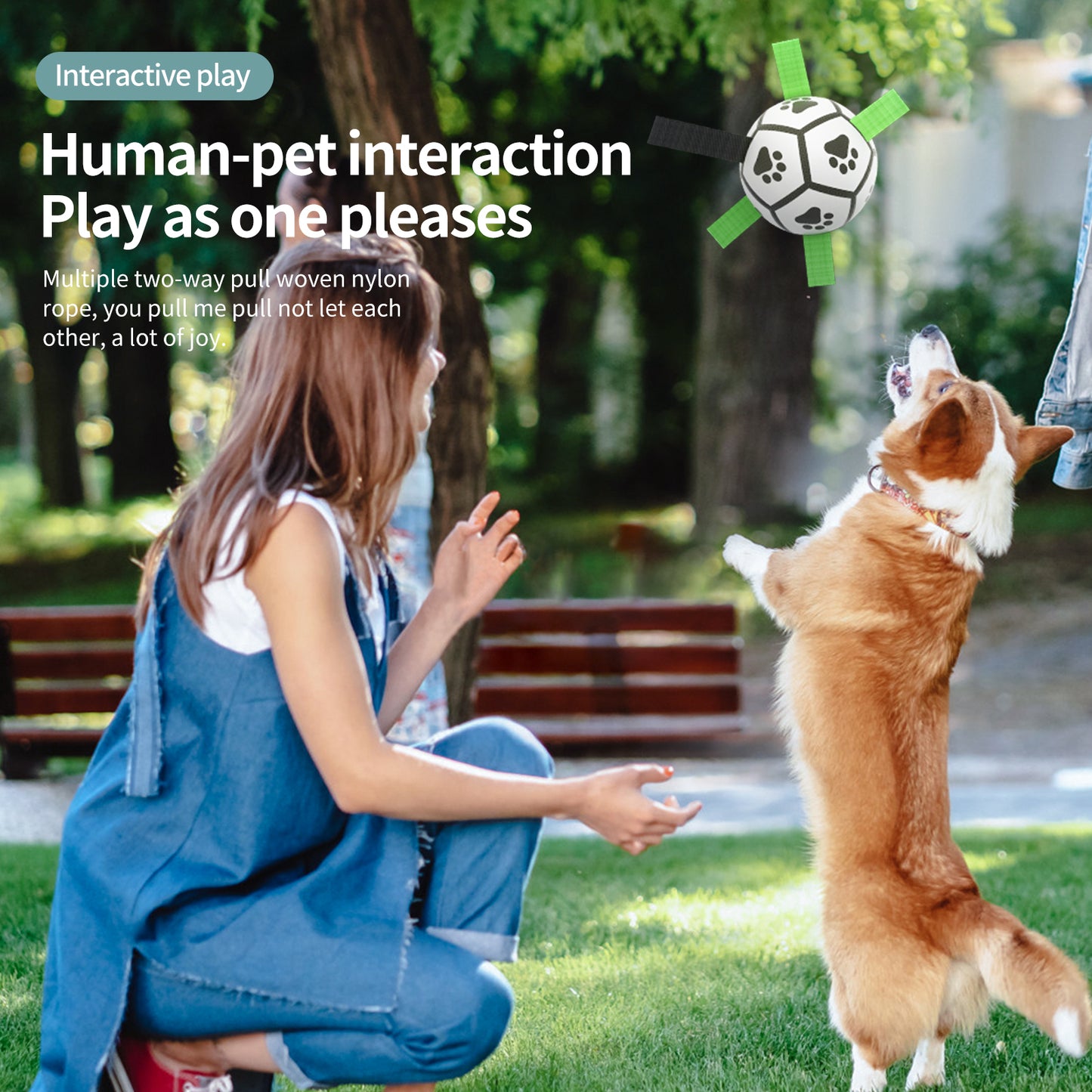 Interactive Dog Football Toy Soccer Ball Inflated Training Toy For Dogs Outdoor Border Collie Balls For Large Dogs Pet Supplies