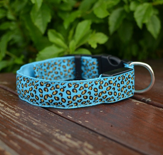 Make your dog visible, safe, and stylish!