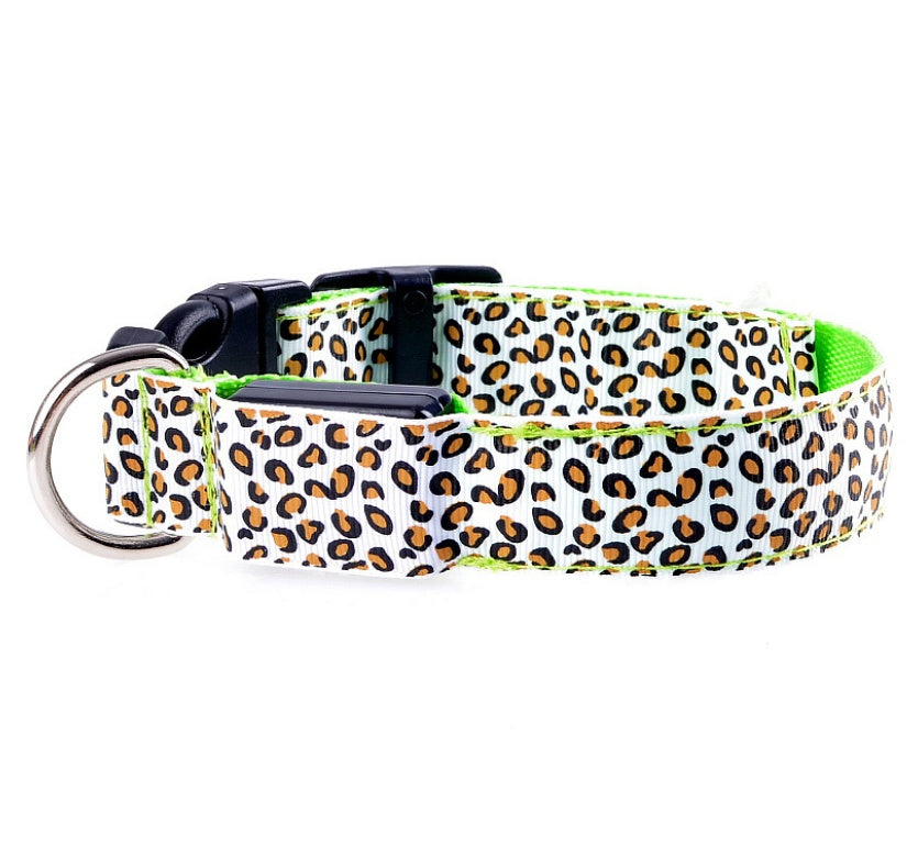 Make your dog visible, safe, and stylish!