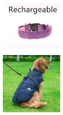 Make your dog visible, safe, and stylish!