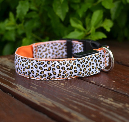 Make your dog visible, safe, and stylish!