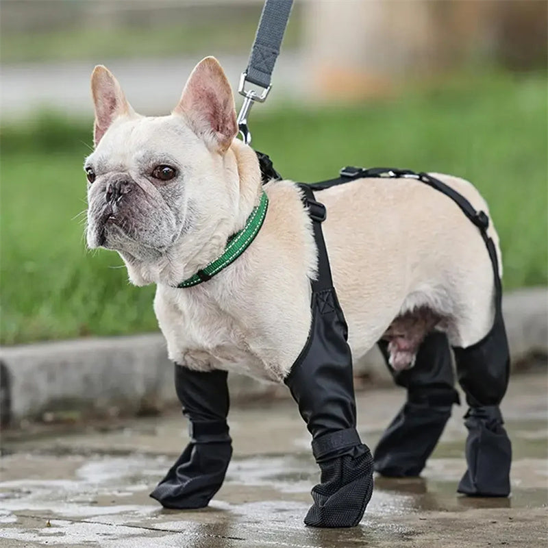 Waterproof Dog Boots – Adjustable, Soft, Perfect Outdoor Walks