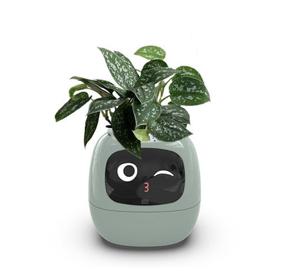 AI-Powered Planter – Grow Plants Effortlessly, Enjoy Endless Fun!